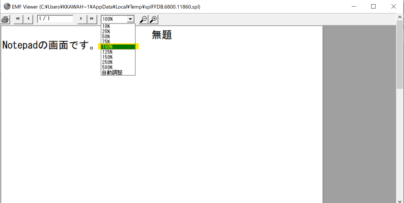 CitrixのEMF Viewerにて印刷プレビューが表示されます