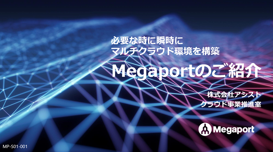 資料：『Megaportのご紹介』