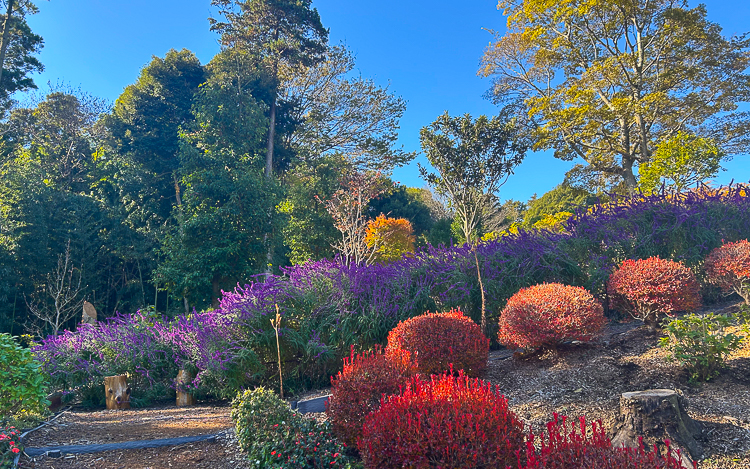 TJK成田ビューゴルフコース