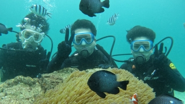 沖縄 スキューバダイビング