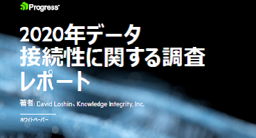 2020データ接続性に関するレポート