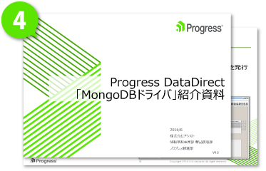 「MongoDBドライバ」紹介資料
