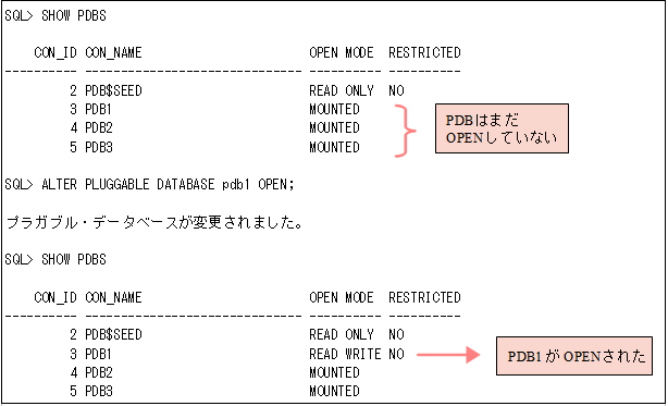 PDBをオープン