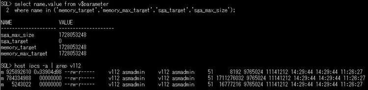 MEMORY_MAX_TARGET（SGA_MAX_SIZE） = MEMORY_TARGET時のipcsコマンドの結果