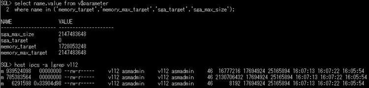 MEMORY_MAX_TARGET（SGA_MAX_SIZE） > MEMORY_TARGET時のipcsコマンドの結果