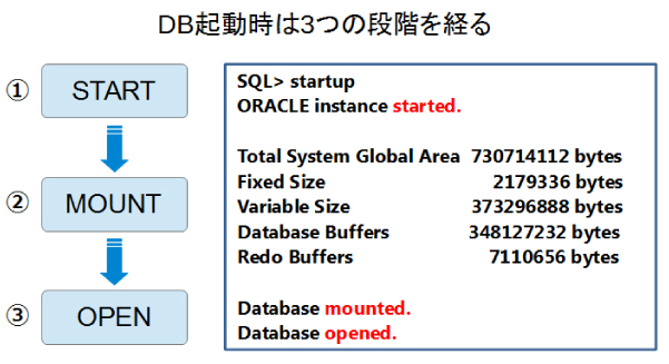 図4：データベースの起動ステップ