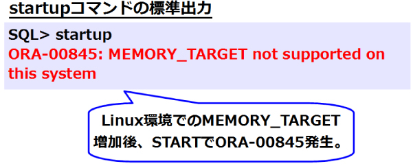 図15：データベース起動失敗時の画面出力（設定ミス）