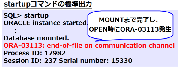 図17：データベース起動失敗時の画面出力（操作ミス）