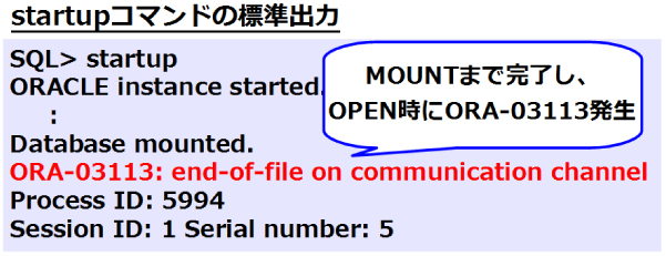 図19：データベース起動失敗時の画面出力（リソース不足）