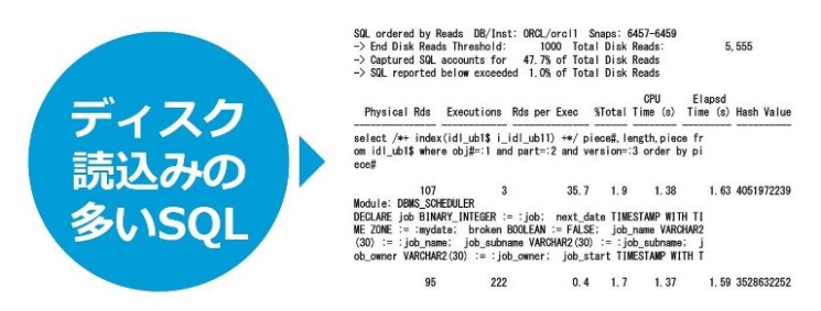 図2：StatspackレポートのSQL ordered by Readsの出力