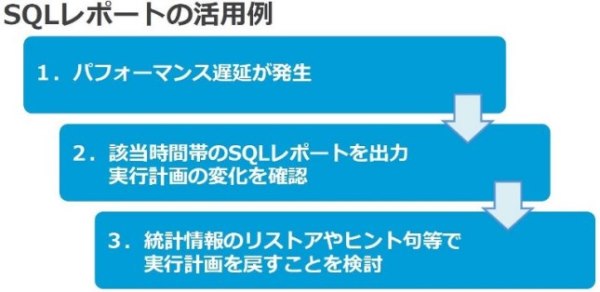 図10：レベル6 SQLレポートの活用例