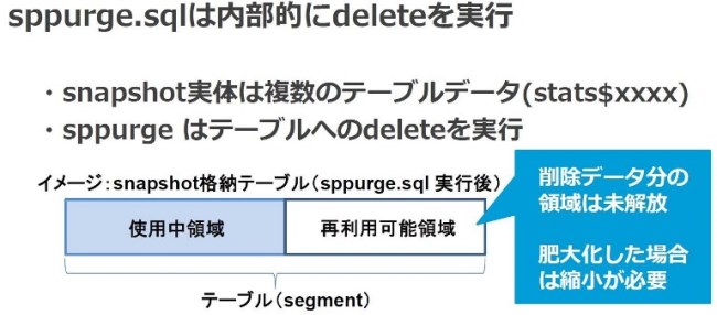 図13：sppurge.sqlでの削除イメージ