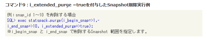 コマンド9：i_extended_purge =trueを付与したSnapshot削除実行例