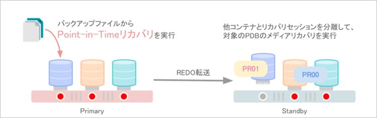 PDBリカバリ分離