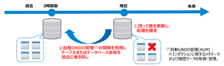 フラッシュバック機能 UNDO情報