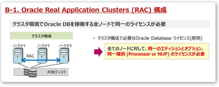  B-1. Oracle Real Application Clusters (RAC) 構成
