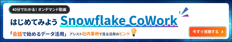 SnowflakeCoWork