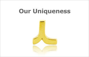 Our Uniqueness