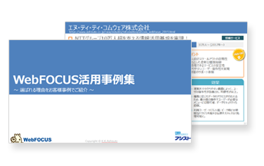 WebFOCUS活用事例集