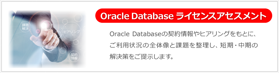 Oracle Databaseの契約情報やヒアリングをもとに、ご利用状況の全体像と課題を整理し、短期・中期の解決策をご提示します。
