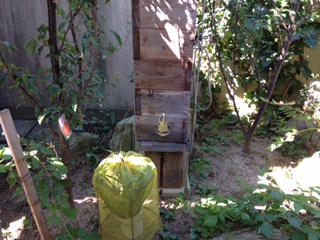 鴨川だより：蜂の巣箱