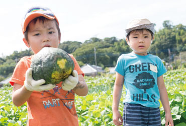 野菜の収穫2