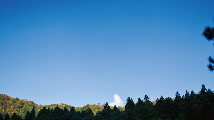 美山町の空