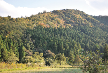 美山町の風景01