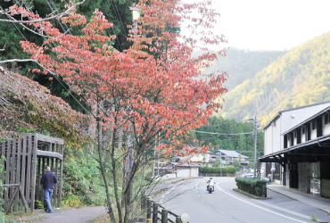 美山の名水