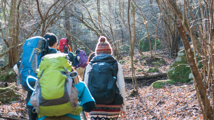 登山の様子