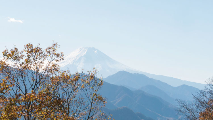 富士山