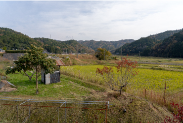 綾部の山