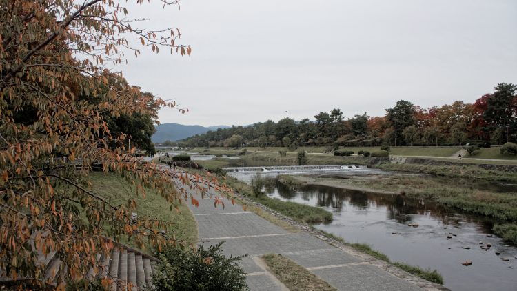 鴨川