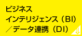 ビジネスインテリジェンス（BI)／データ連携（DI）