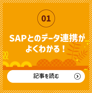 SAPとのデータ連携がよくわかる！