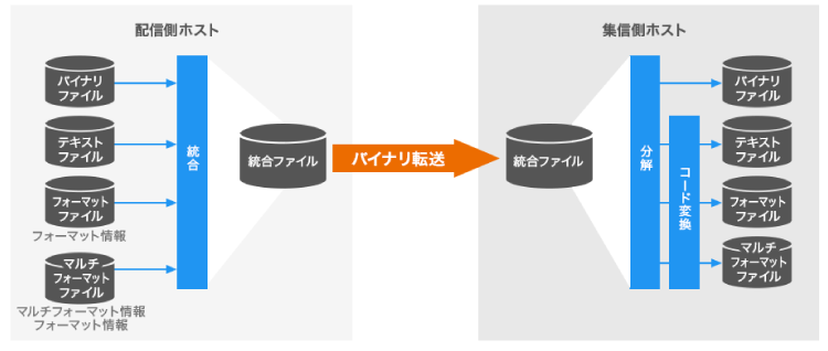 複数ファイルを一括転送