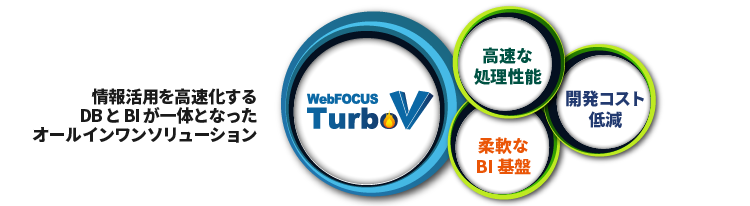 WebFOCUS TurboVとは
