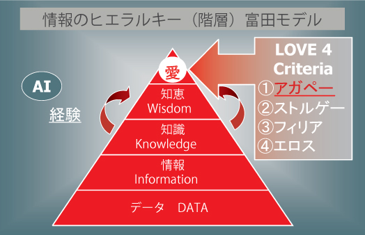 情報のヒエラルキー(階層）富田モデル